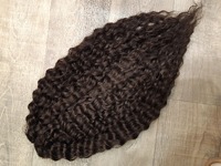 Афролоконы крючковые Ариэль №4 (55см)