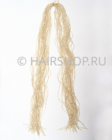 ЗИЗИ (ПР) 613-2